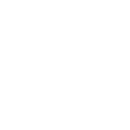 9040489_globe_icon